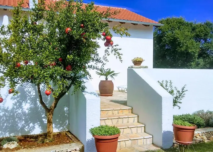 House Soni - 800 M From The Sea